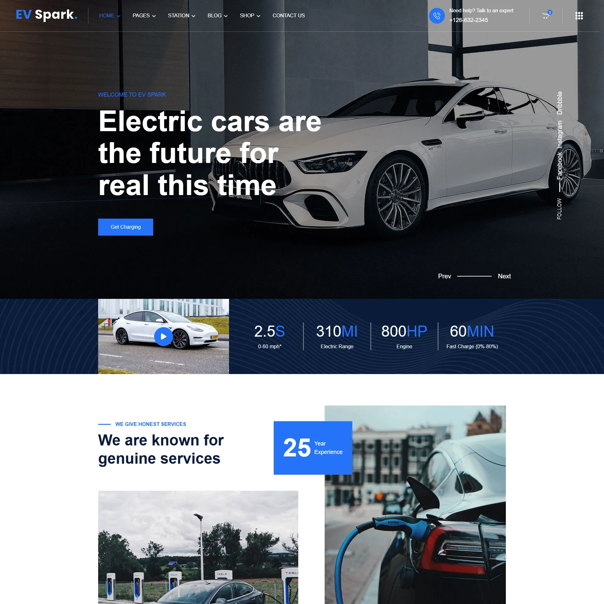 Electric Cars